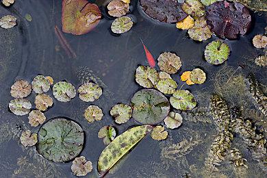 505 Games在Gamescom公布《迷失之刃》与《神力科莎》等新作消息